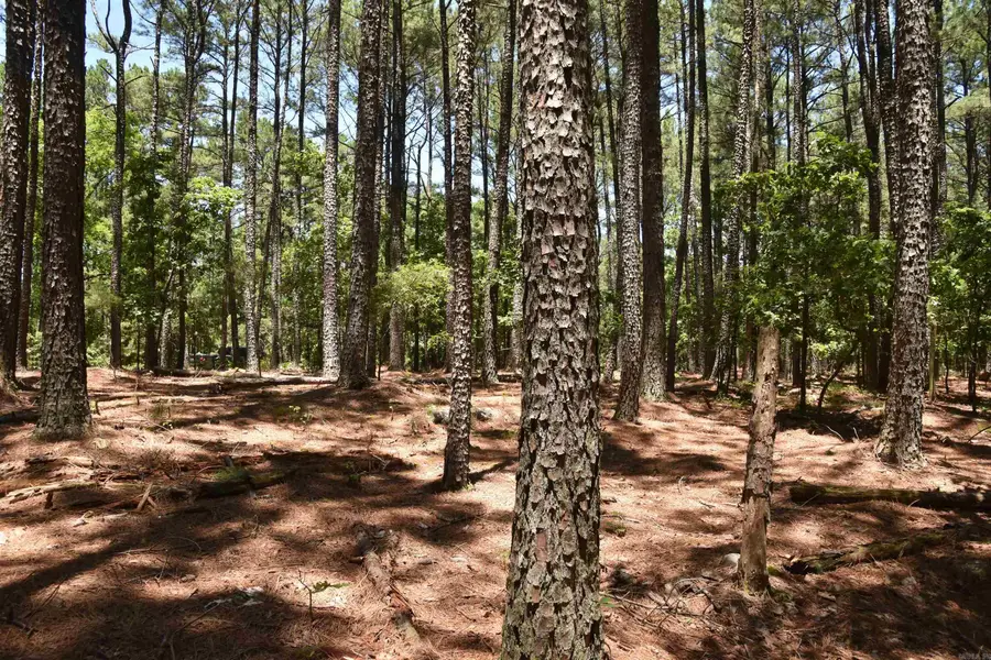 Lot 2 Mandarina Way, Hot Springs Village, AR 71909 - Image #3