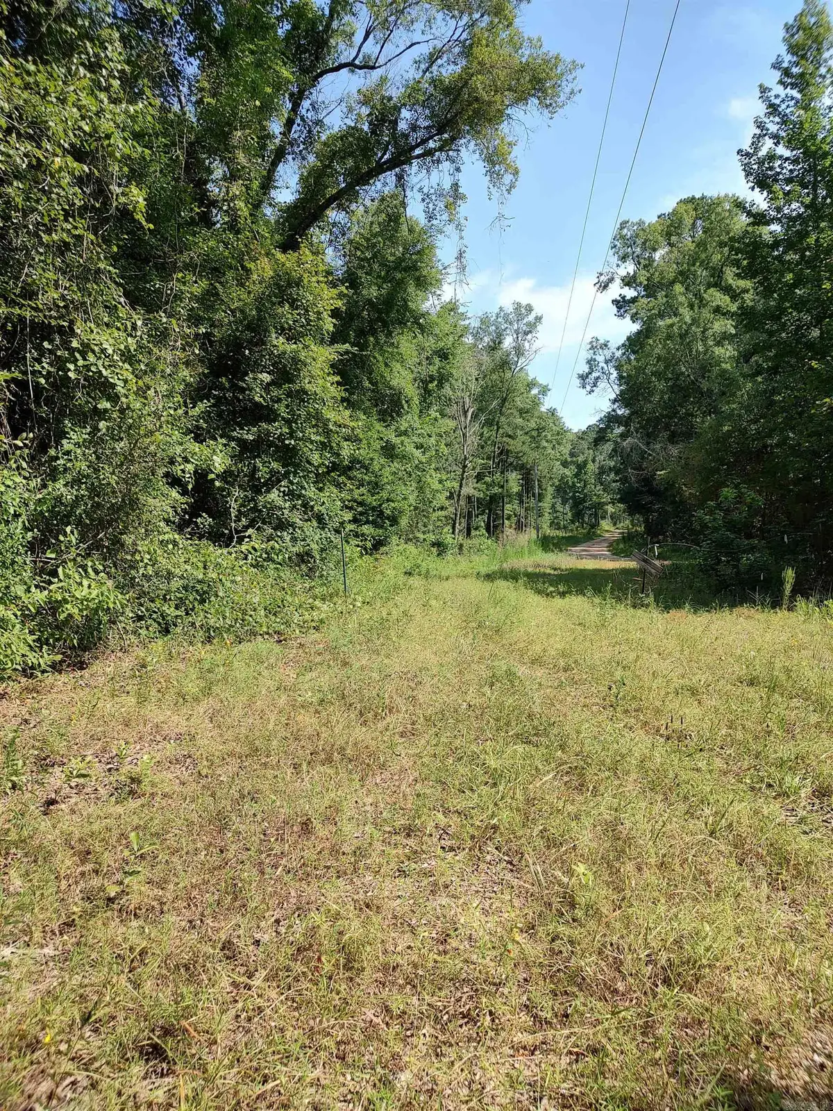 80 acres Calhoun 199 Road, Hampton, AR 71744 - Image #1