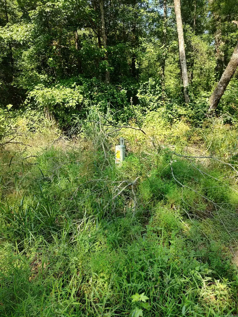 80 acres Calhoun 199 Road, Hampton, AR 71744 - Image #2