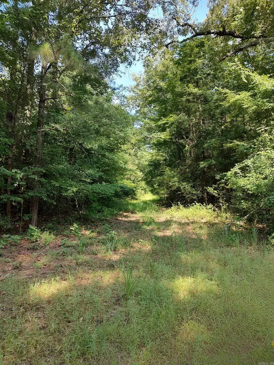 80 acres Calhoun 199 Road, Hampton, AR 71744 - Image #3