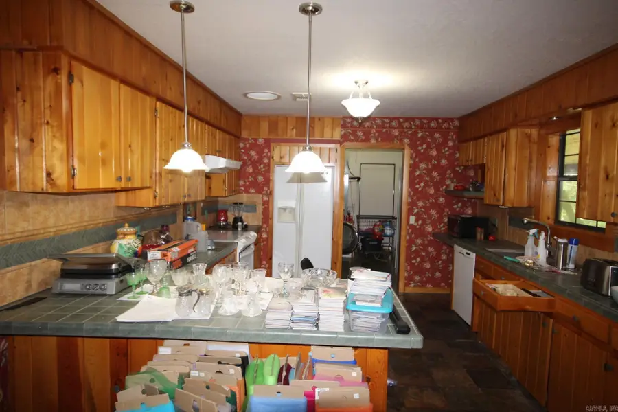 152 Hempstead 336, McCaskill, AR 71847 - Image #3