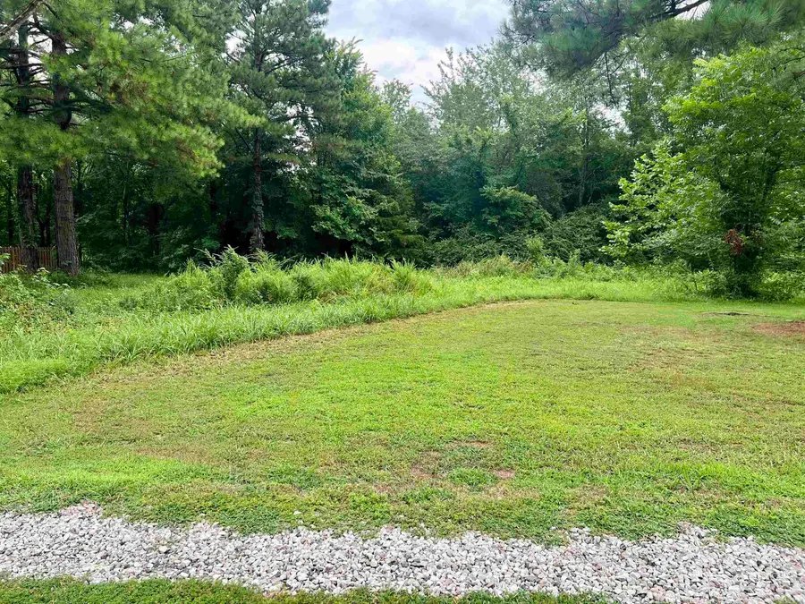 138 Mountain Side Drive, Pangburn, AR 72121 - Image #2