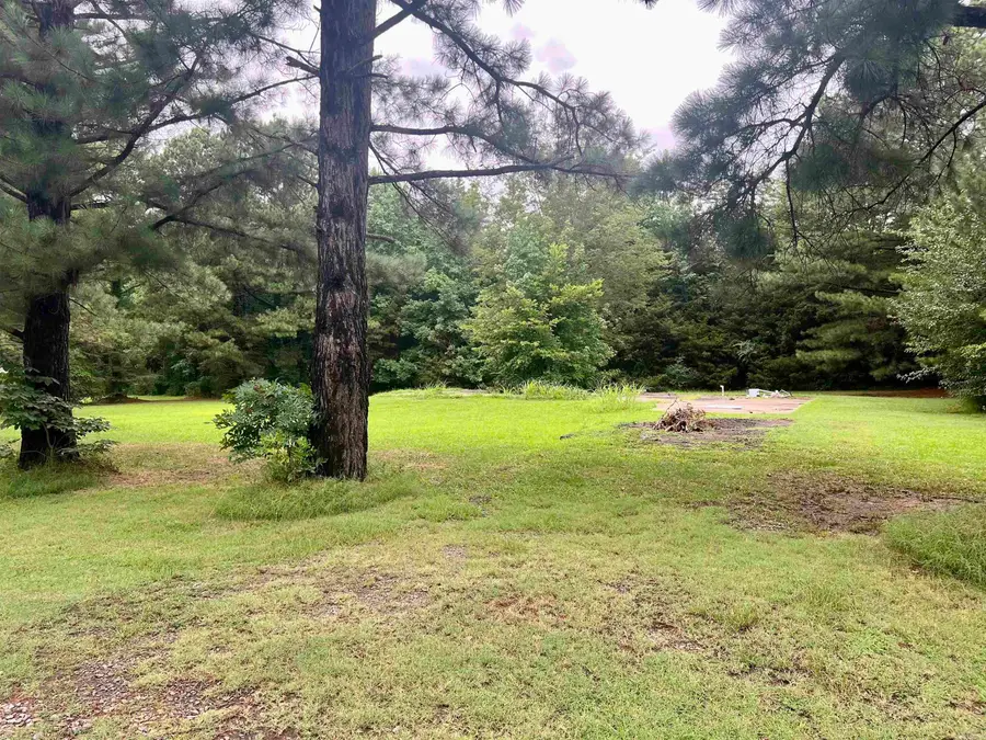 100 Mountain Side Drive, Pangburn, AR 72121 - Image #3