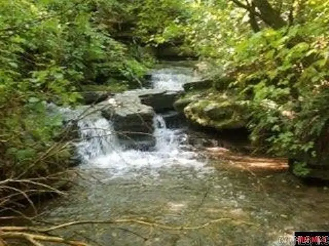 1826 Mc 5013, Everton, AR 72633 - Image #2