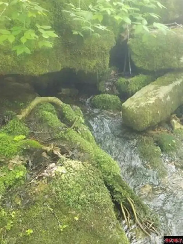 1826 Mc 5013, Everton, AR 72633 - Image #3