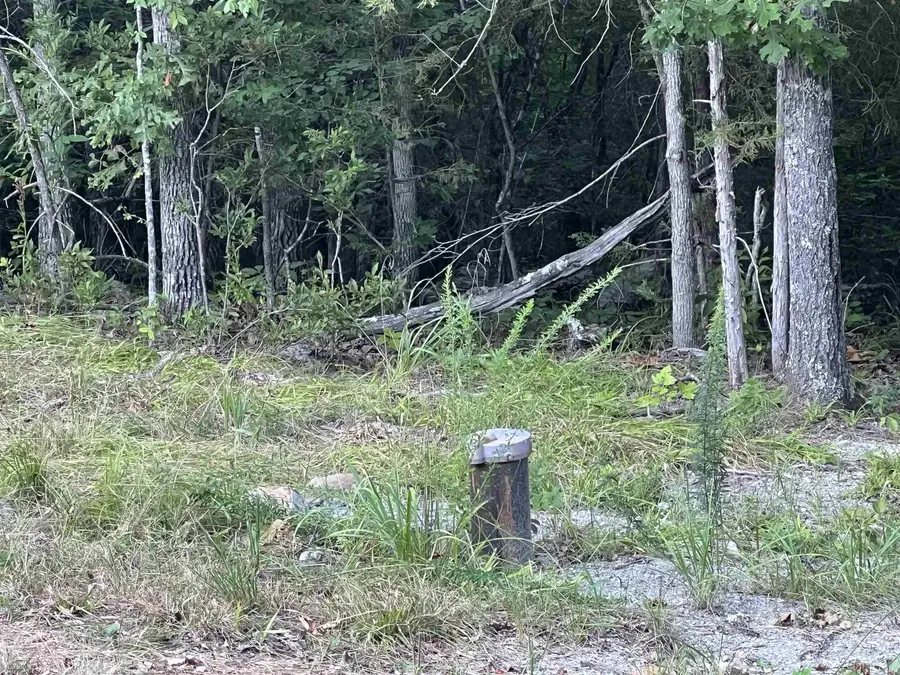 Cedar Creek Drive, Harrison, AR 72601 - Image #3