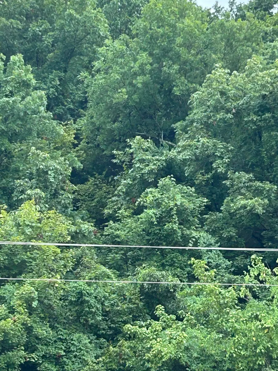 0 Buckaroo, Highland, AR 72542 - Image #2