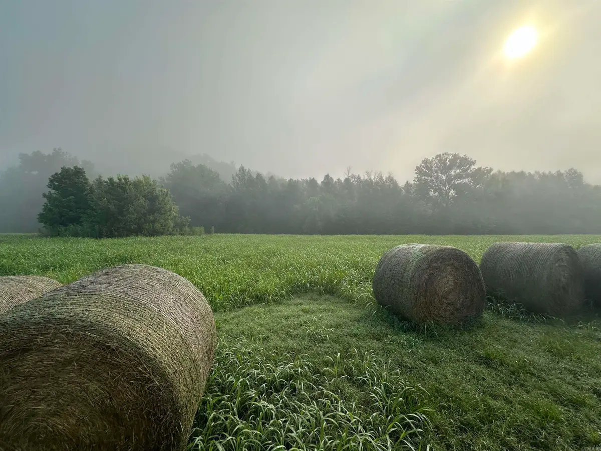 000 White River Run, Guion, AR 72540 - Image #1