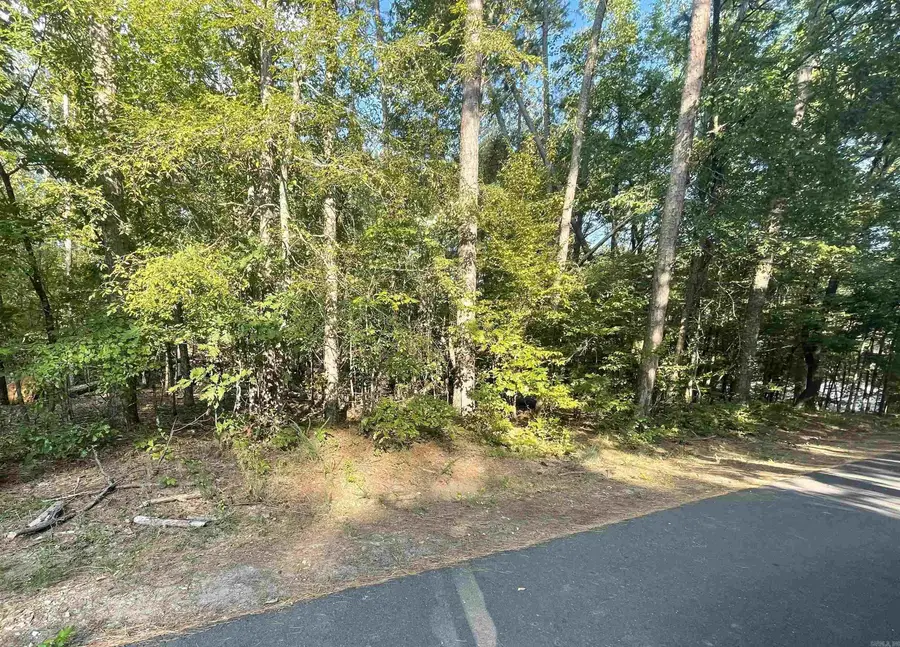 Address Withheld By Seller, Hot Springs Village, AR 71909 - Image #2