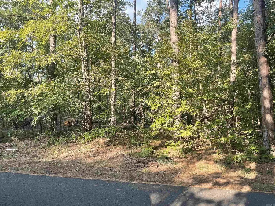 Address Withheld By Seller, Hot Springs Village, AR 71909 - Image #3