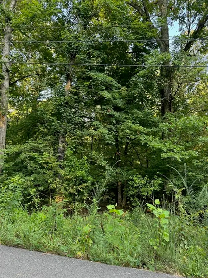 Woodland Hills Road, Hardy, AR 72542 - Image #1