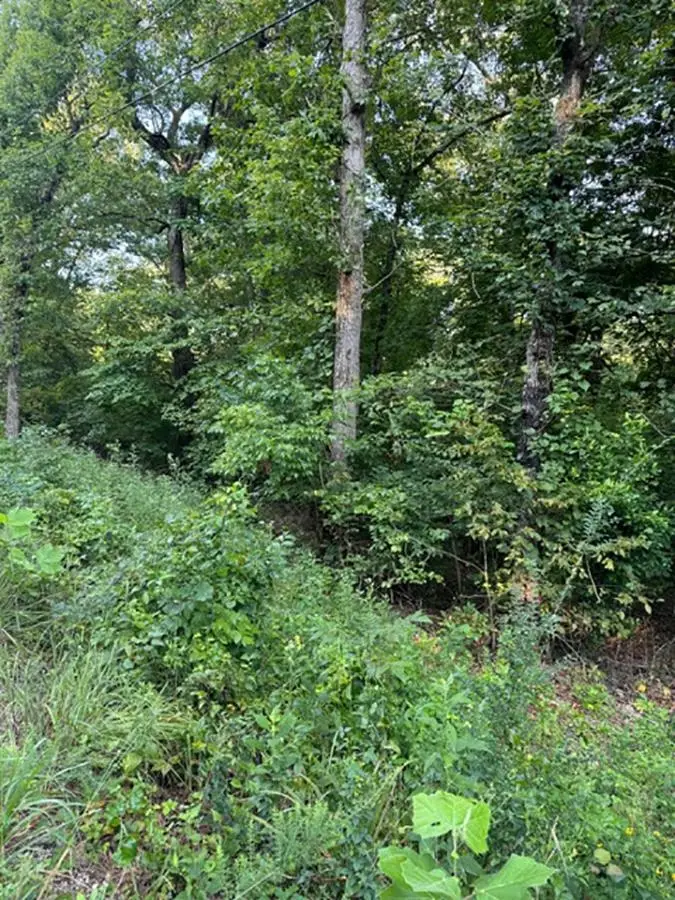 Woodland Hills Road, Hardy, AR 72542 - Image #3