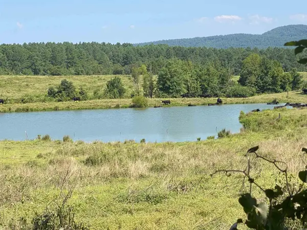 To Be Determine Old Caddo Gap Road, Bonnerdale, AR 71933