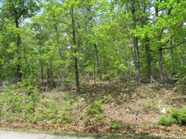 0000 Gin Mill Road, Ash Flat, AR 72513 - Image #3
