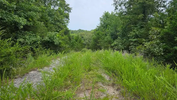 102 N Mother Lode Drive, Horseshoe Bend, AR 72512