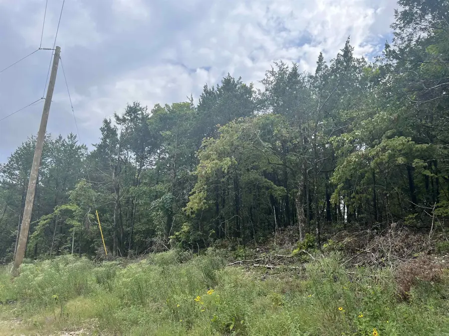 Grassy Gap Road, Harrison, AR 72601 - Image #2