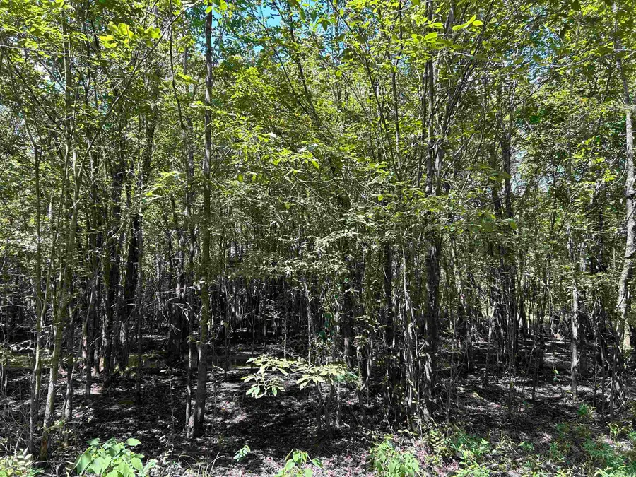 0 Padgett Rd, Holly Grove, AR 72069 - Image #2