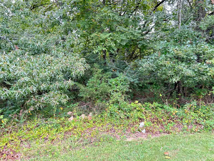 Lots 3,4,5 Martin Street, Ash Flat, AR 72513 - Image #2