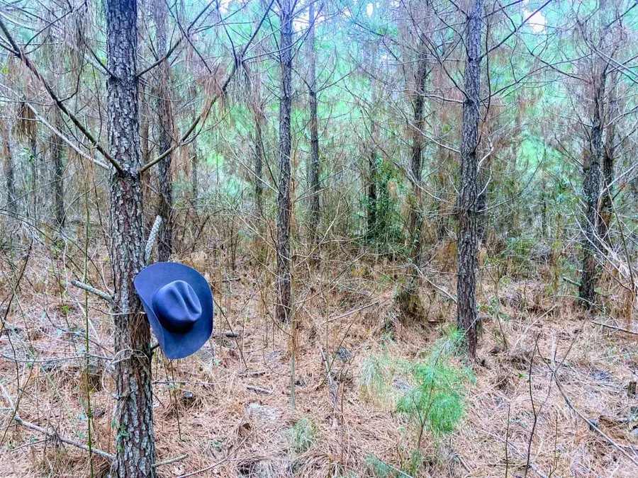 Address Withheld By Seller, Alabama, AR 71858 - Image #3