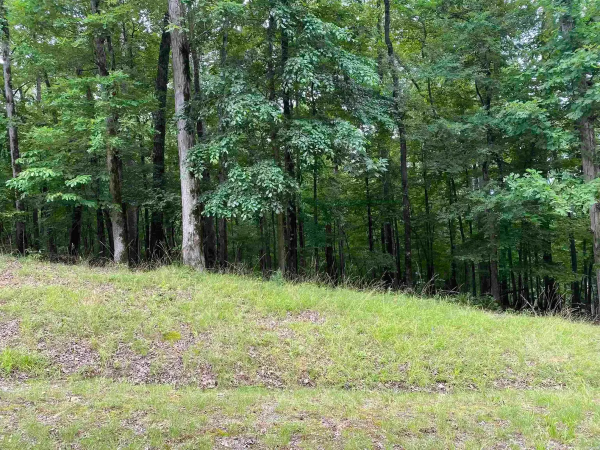 1016 Arlington Point, Hot Springs, AR 71913 - #1