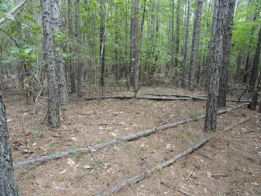 000 Baxter Cr 128, Calico Rock, AR 72519 - Image #3