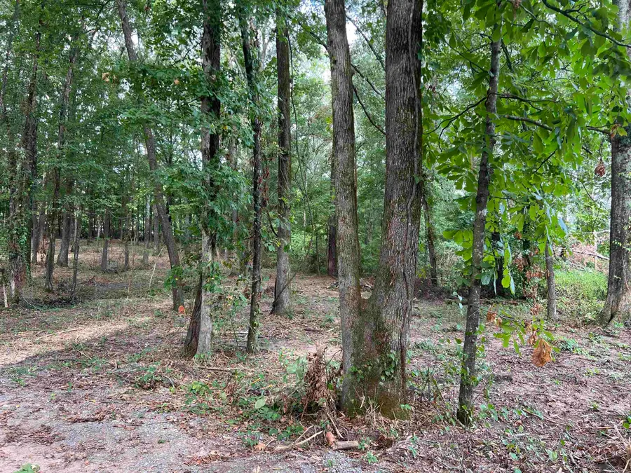 0 Arabian, White Hall, AR 71602 - Image #3