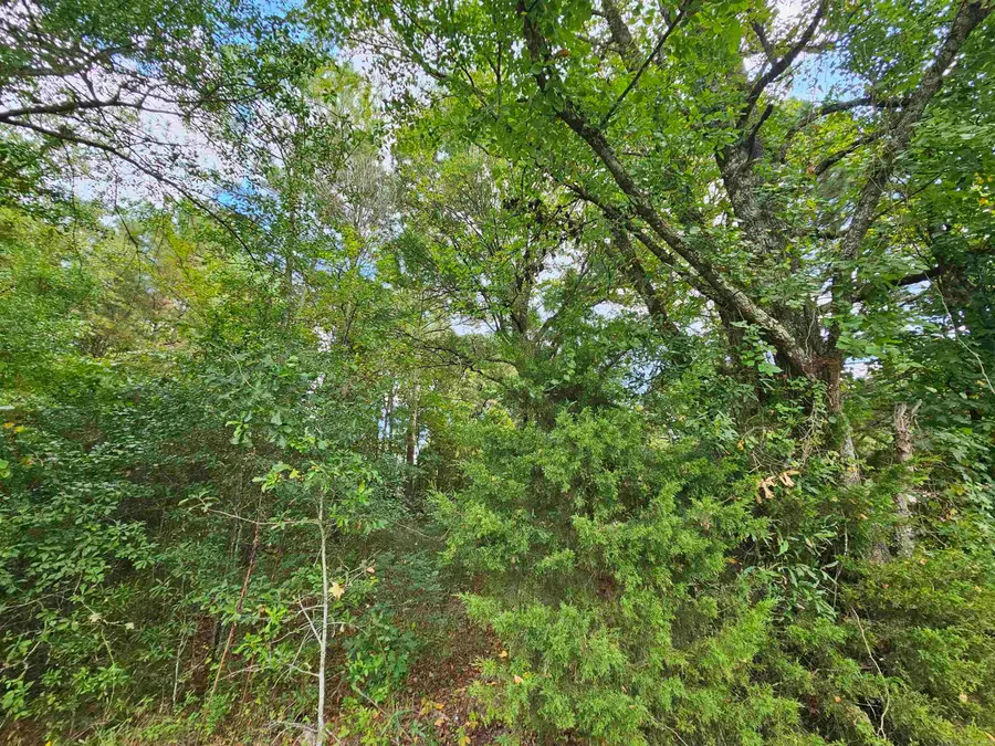 TBD Doggett Circle, Horatio, AR 71842 - Image #2