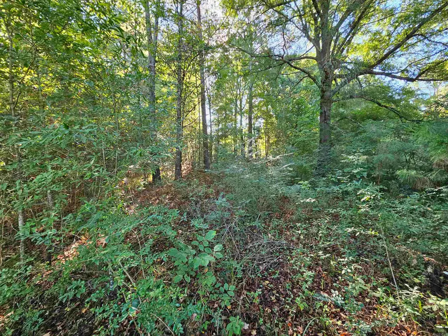 TBD Doggett Circle, Horatio, AR 71842 - Image #3