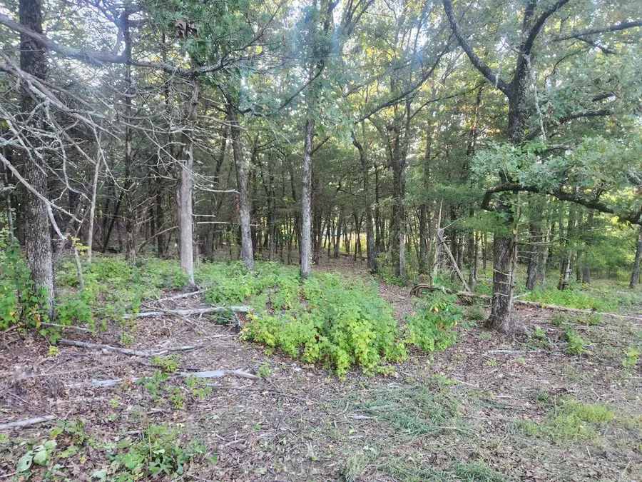 Lot 17 Indian Knob, Mountain View, AR 72560 - Image #2