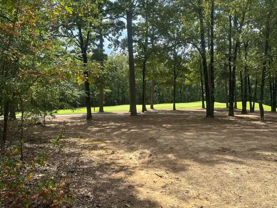 LOT 370 Brunn Cove, Drasco, AR 72530 - Image #2