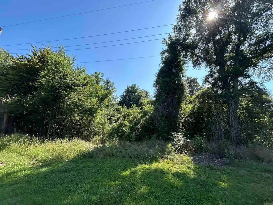 606 Hazel Ave, Brinkley, AR 72021 - Image #2