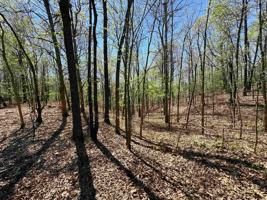 0 County Road 431, Pollard, AR 72456 - Image #3