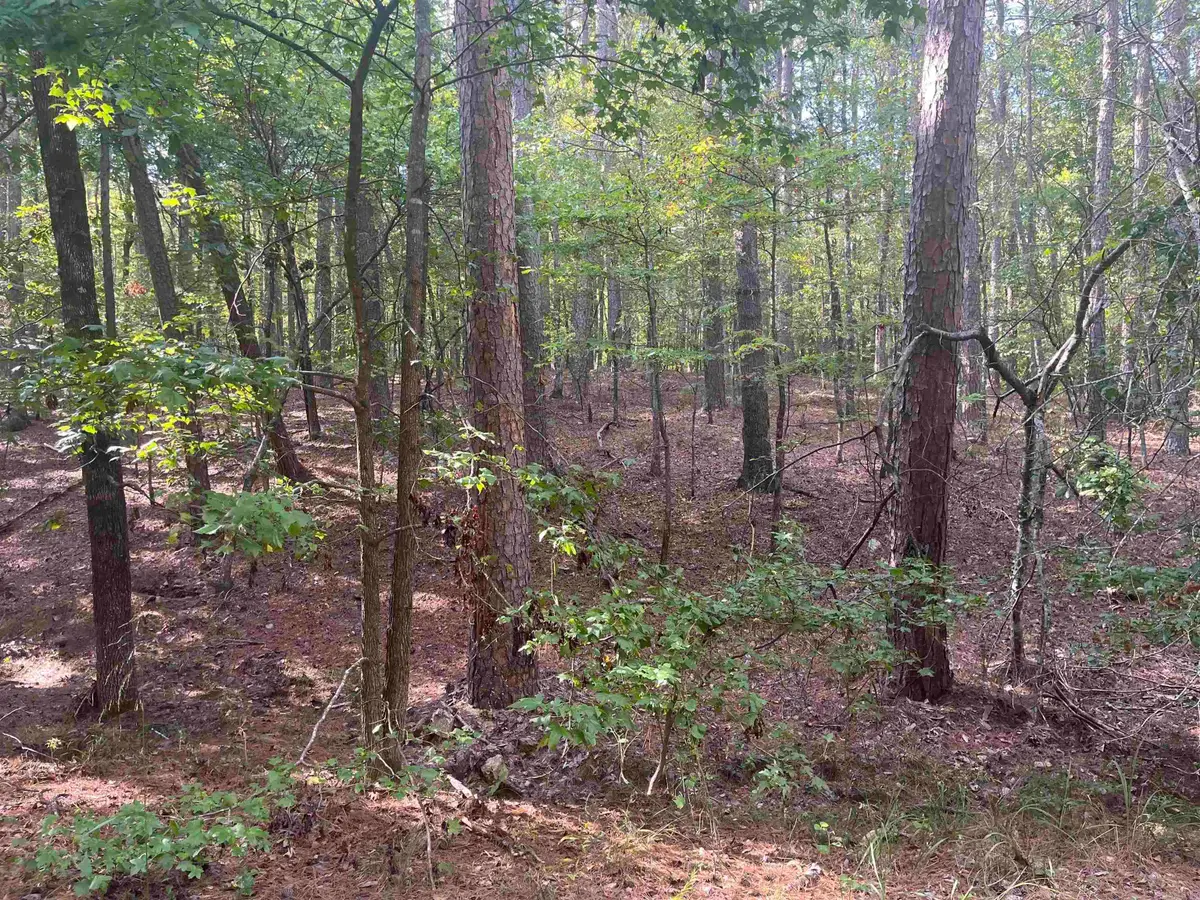 LOT 7 BLK 4 Doscientos Way, Hot Springs Village, AR 71909 - Image #1