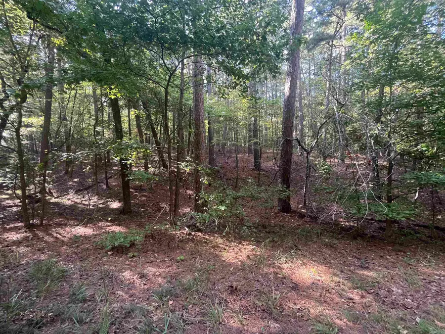 LOT 7 BLK 4 Doscientos Way, Hot Springs Village, AR 71909 - Image #2