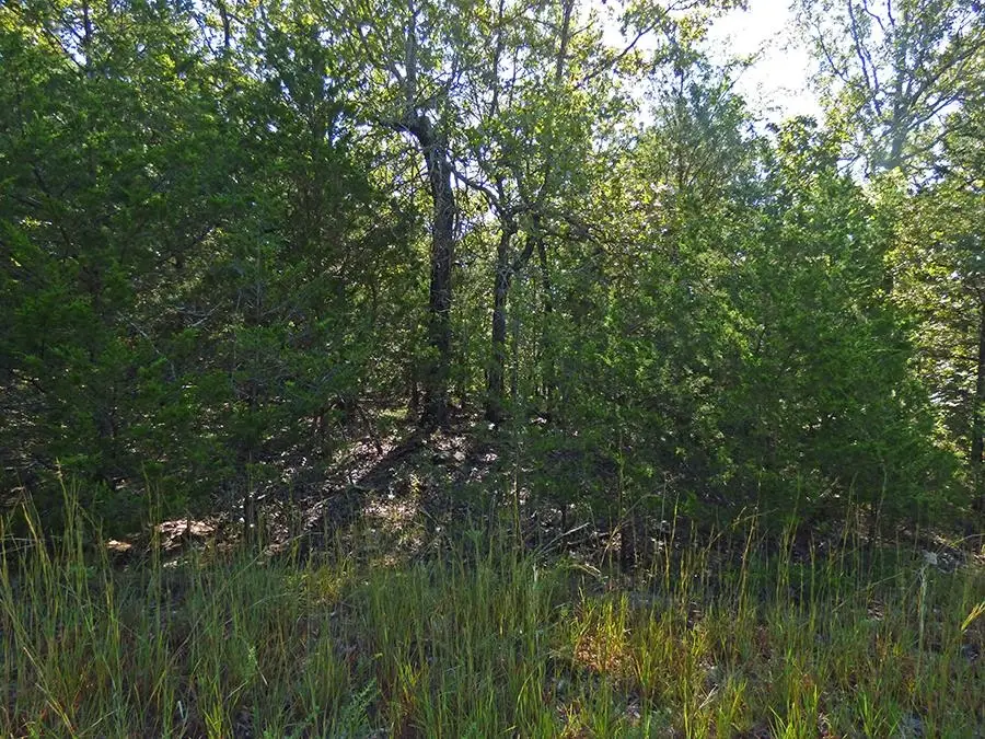 Diamond Cove Lane, Horseshoe Bend, AR 72512 - Image #1