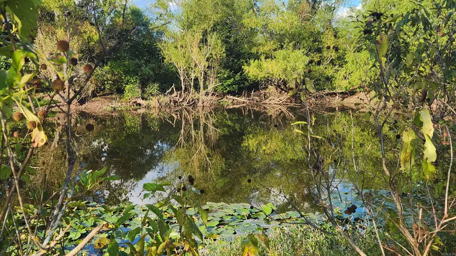 TBD Lynda Ln, Oden, AR 71961 - Image #2