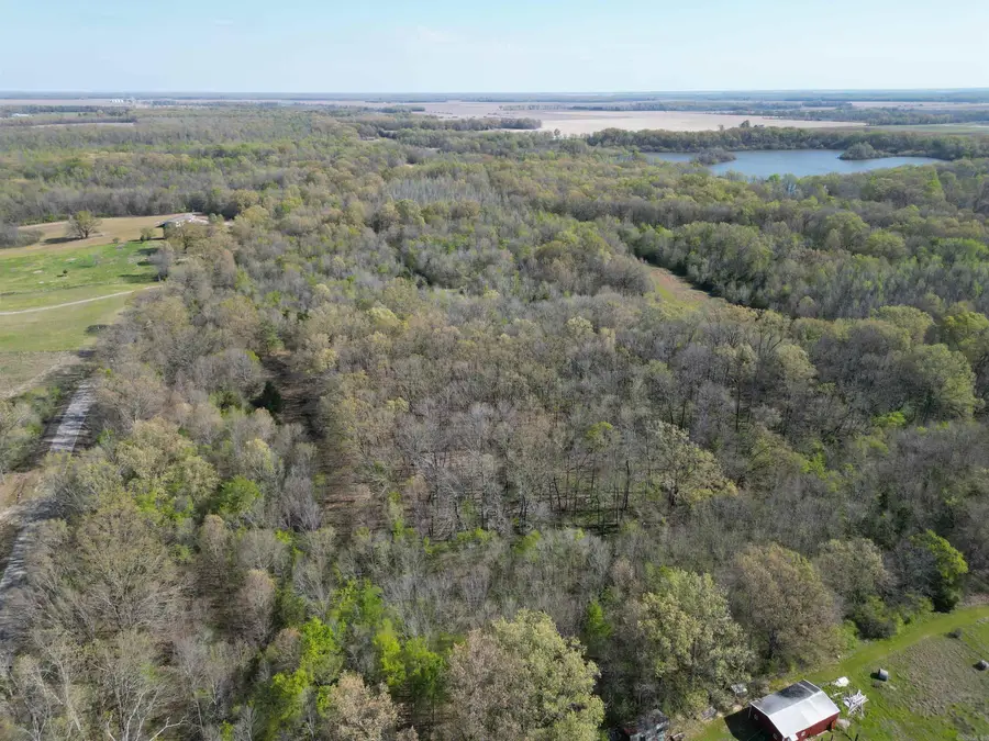00 Mcadams Rd, Dewitt, AR 72042 - #2