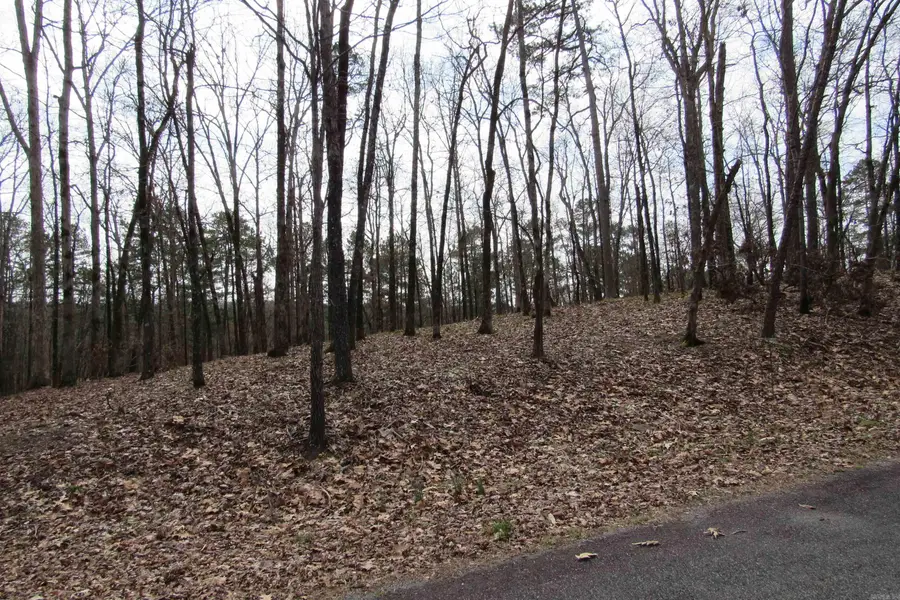 lot 1667A-1671A Weschester Court, Hot Springs, AR 71913 - #3