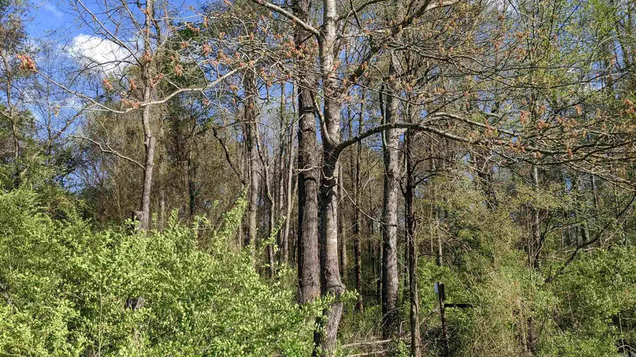 32 Oddie Lane, Ward, AR 72176 - Image #2