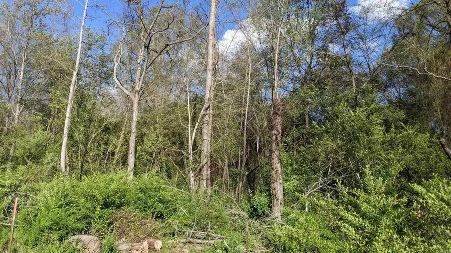 32 Oddie Lane, Ward, AR 72176 - Image #3