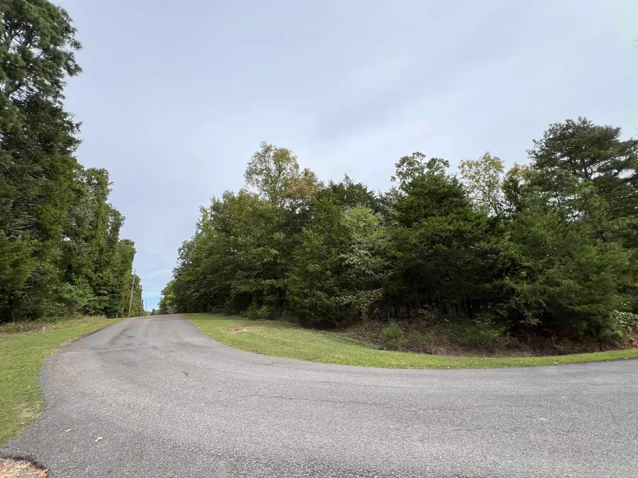 137 Shore Drive, Shirley, AR 72153 - Image #2