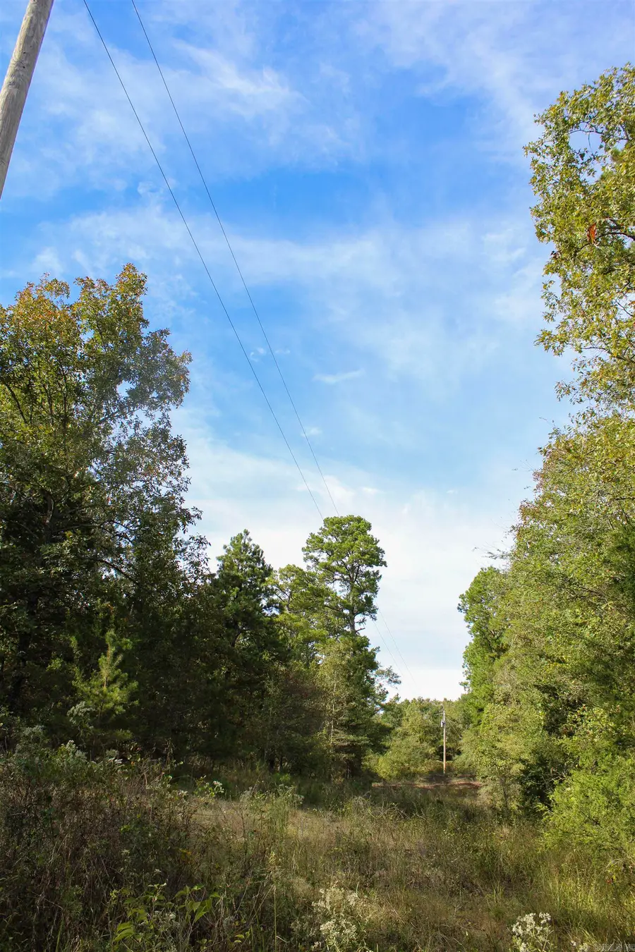 TBD Polk 151, Hatfield, AR 71945 - Image #2