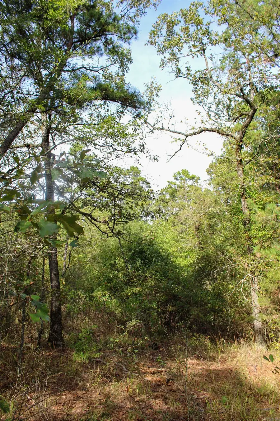 TBD Polk 151, Hatfield, AR 71945 - Image #3