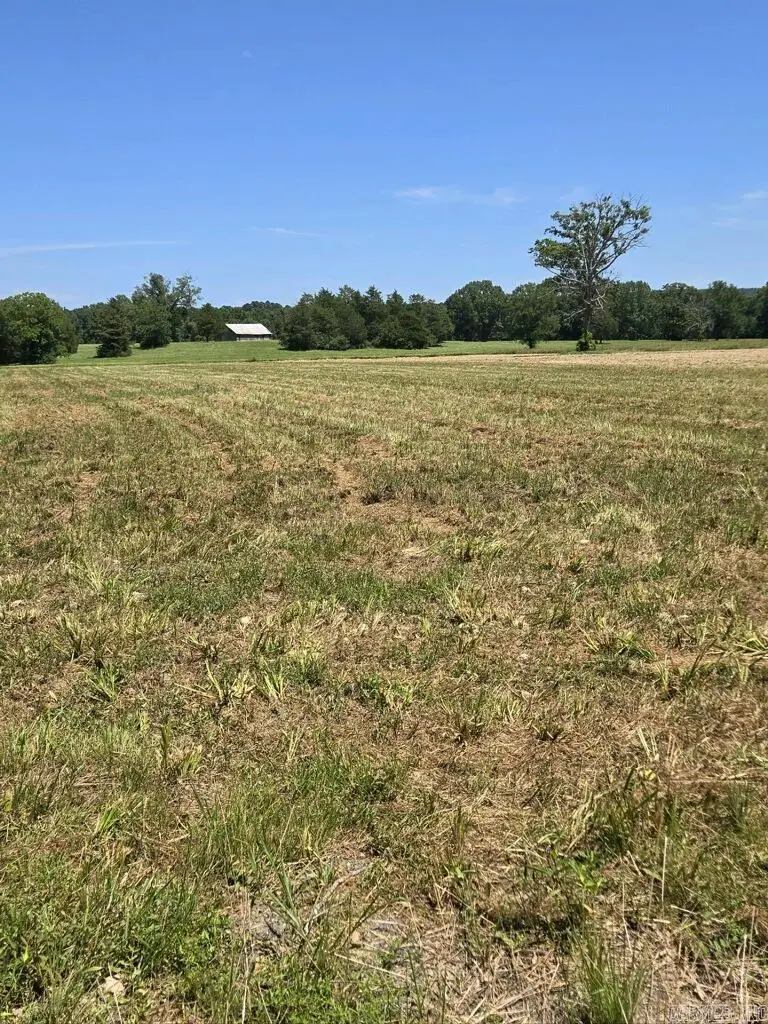 000 Lollie Road, Mayflower, AR 72106 - #2