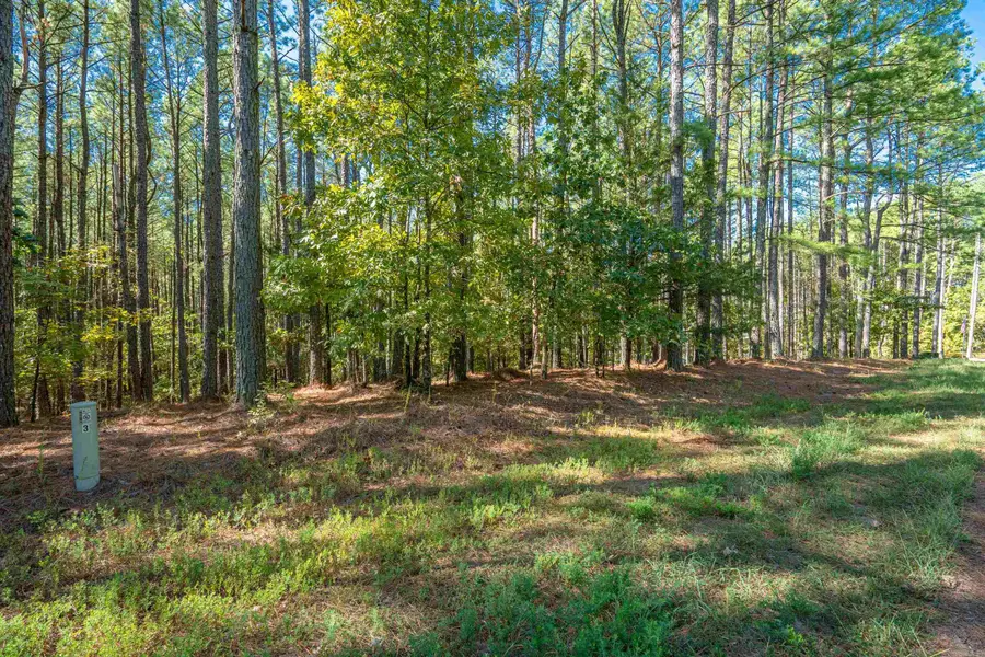 3 Otera Lane, Hot Springs Village, AR 71909 - Image #2