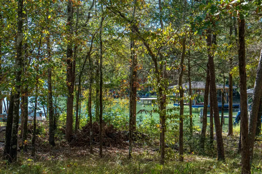 5 Sanchez Cove, Hot Springs Village, AR 71909 - Image #3