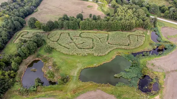 Address Withheld By Seller, Paragould, AR 72450