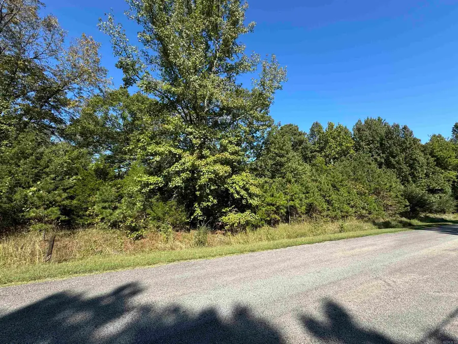 Lot 46 E Plantation Drive, Heber Springs, AR 72543 - Image #2
