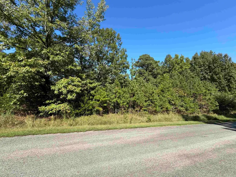Lot 46 E Plantation Drive, Heber Springs, AR 72543 - Image #3