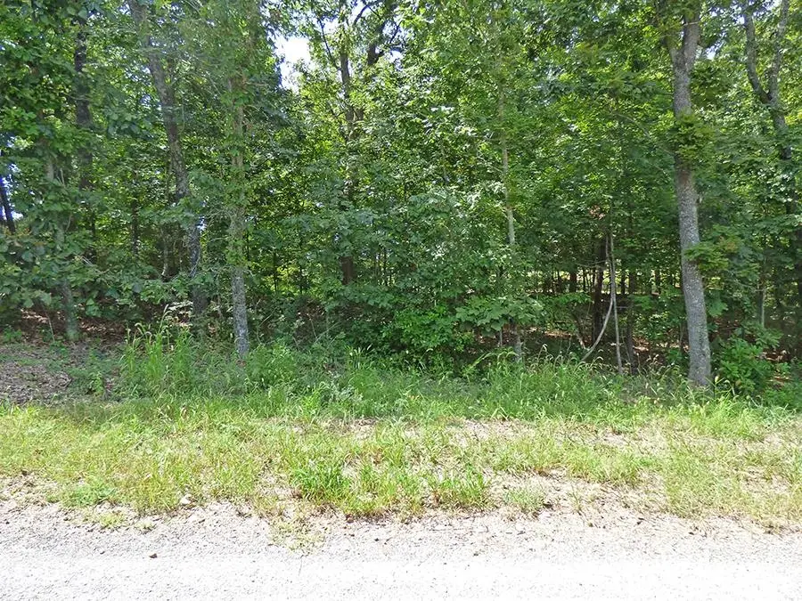 Katsina Circle, Cherokee Village, AR 72529 - Image #2